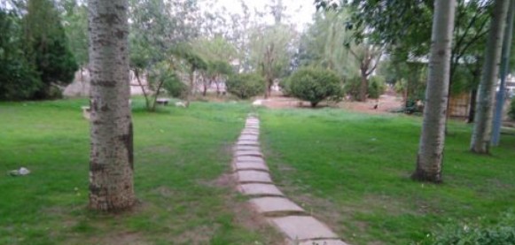 dhô?֪