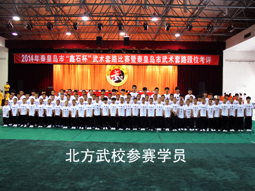 練武術不重要?河北武術學校來告訴你! 練武術不重要?河北武術學校來告訴你!
