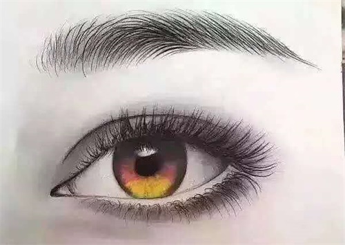 ɽںW(xu)O(sh)Ӌ(j)Ӗ(xn)W(xu)Уʲôṇ