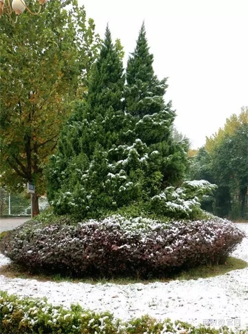 ӱQWУôӣ