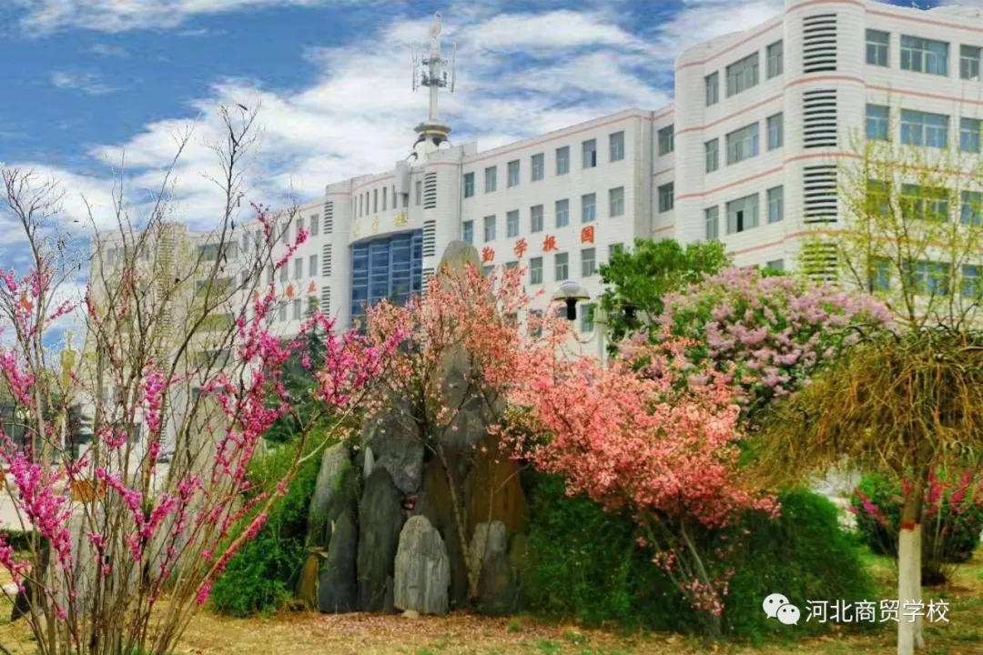 河北商貿學院校園春色不變,等待如期而至的你 河北商貿學院校園春色不變,等待如期而至的你