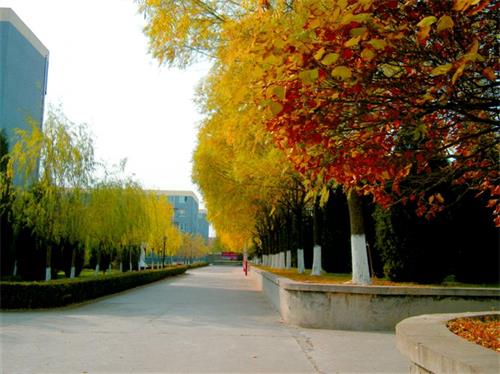 北京現代體育學院、航空乘務學院環境好不好? 北京現代體育學院、航空乘務學院環境好不好?