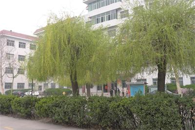 保定育德中等專業(yè)學(xué)校計算機應(yīng)用技術(shù)好不好? 保定育德中等專業(yè)學(xué)校計算機應(yīng)用技術(shù)好不好?