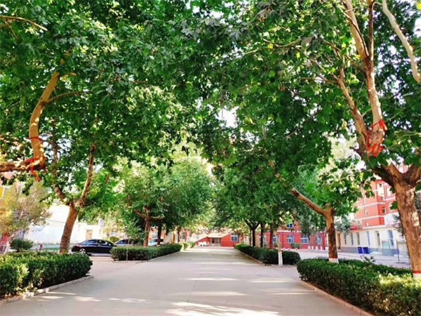 石家莊同創(chuàng)鐵路運輸學(xué)校有何優(yōu)勢?如何報考這所學(xué)校? 石家莊同創(chuàng)鐵路運輸學(xué)校有何優(yōu)勢?如何報考這所學(xué)校?