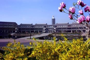 邯鄲華博教育中等專業(yè)學(xué)校開設(shè)了哪些專業(yè)? 邯鄲華博教育中等專業(yè)學(xué)校開設(shè)了哪些專業(yè)?