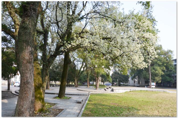 桂林理工大學繼續教育學院面試流程有哪些? 桂林理工大學繼續教育學院面試流程有哪些?