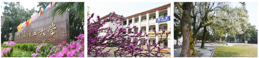 桂林哪所學校有空中乘務專業? 桂林哪所學校有空中乘務專業?